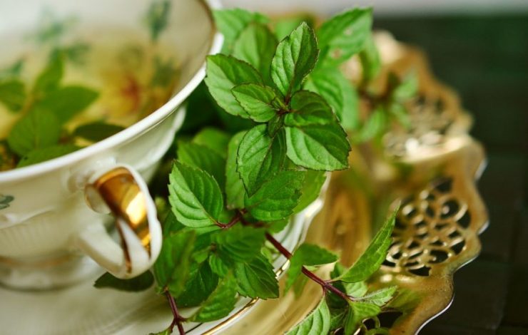 ceai de menta