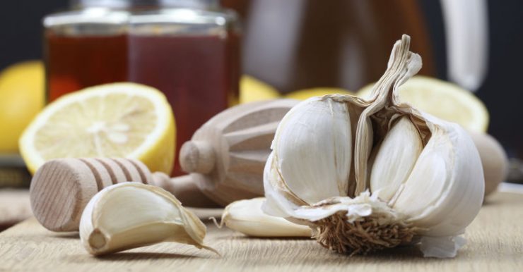 2015 02 16 using garlic antibiotic fb