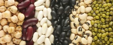 beans assortment fiber