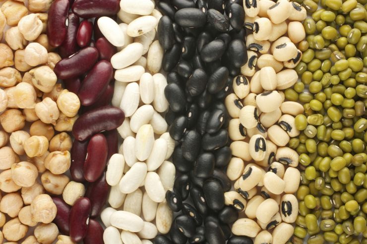 beans assortment fiber