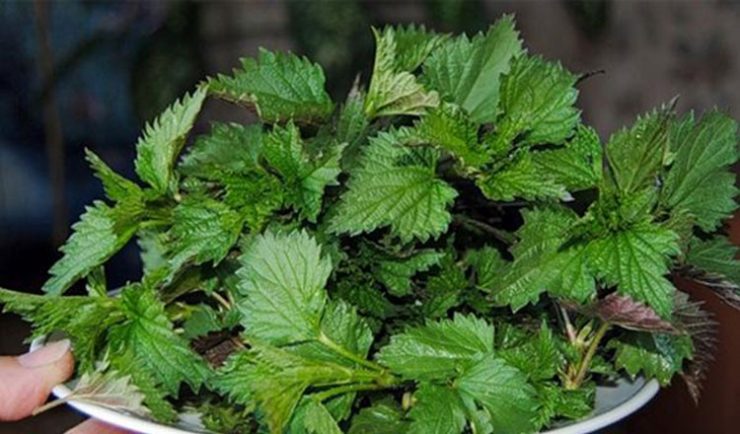 detox regim alimentar primavara