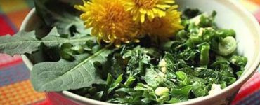 salata papadie tratamente organism