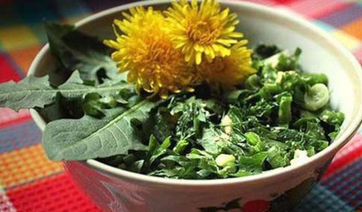 salata papadie tratamente organism