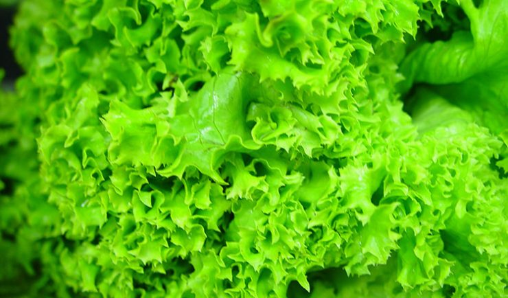salata verde beneficii utilizare