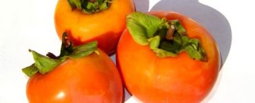 Fructul Kaki – 11 Beneficii Extraordinare sxc.hu 1 1