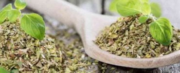 oregano beneficii sanatate 759x488