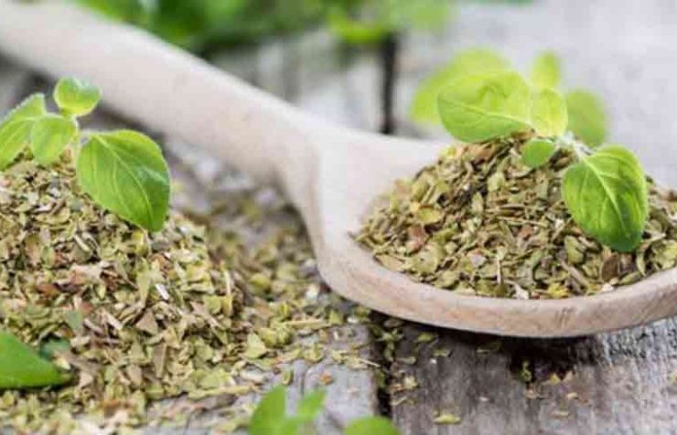 oregano beneficii sanatate 759x488