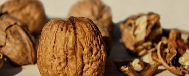 walnut 1739021 340