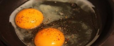 alimente ingrasare