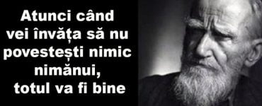 bernard show