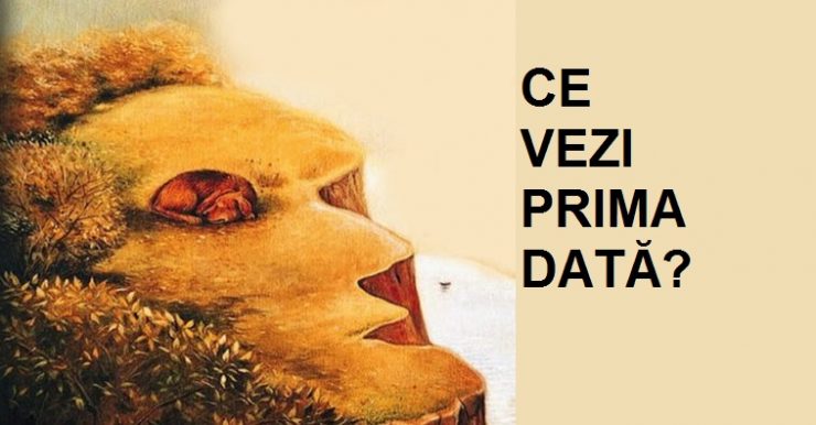 ce vezi rpima data