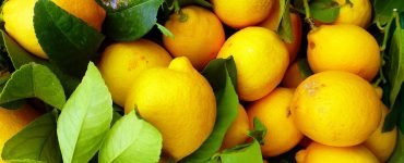 fruit 3287620 960 720