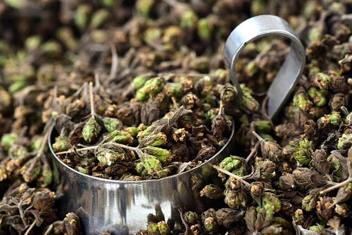 oregano 2390961 340
