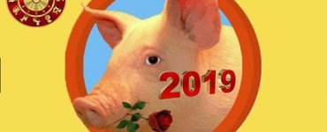 porc pamant
