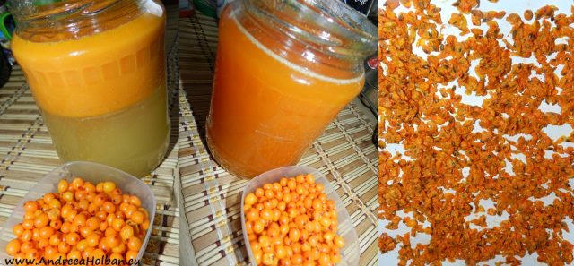 sirop de catina cu miere de albine dupa 12 luni
