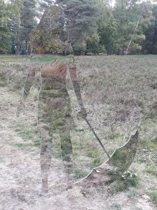 7 cazuri în care realitatea a pus Photoshopul cu botul pe labe 16 27551515 3k5h8maeokt11 1541357850 728 1b2d69e96a 1541591937
