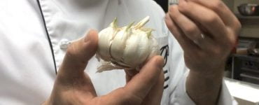 28
