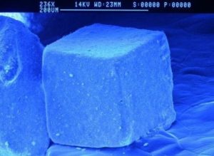 Unele din ele sunt adevărate ciudățenii! Fotografii fantastice ale obiectelor și creaturilor văzute sub microscop 24 cub sare
