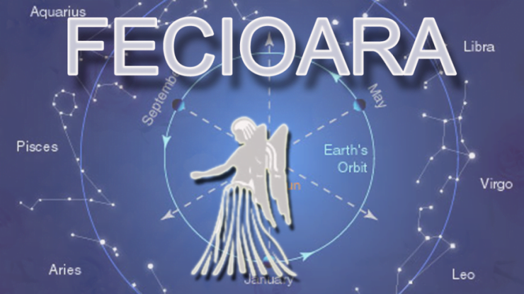 descriere fecioara