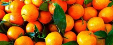 despre clementine