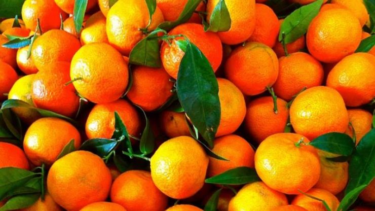 despre clementine