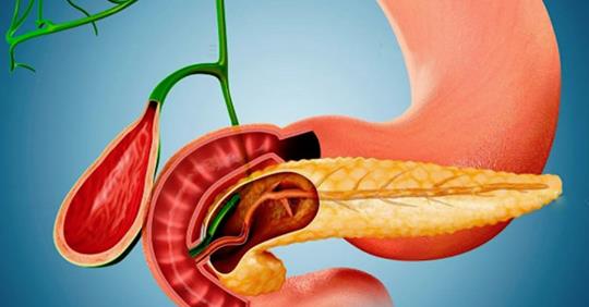 despre pancreas