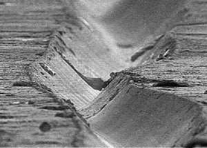Unele din ele sunt adevărate ciudățenii! Fotografii fantastice ale obiectelor și creaturilor văzute sub microscop 27 dissc vinil