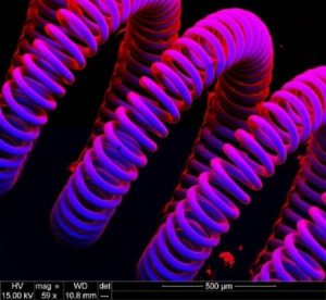 Unele din ele sunt adevărate ciudățenii! Fotografii fantastice ale obiectelor și creaturilor văzute sub microscop 21 filament lampi