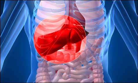 hepatita