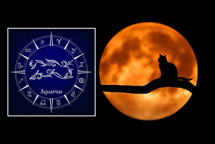 horoscop saptamanal 26 noiembrie 2 decembrie 2018 zodia varsator