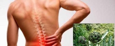 lower backache