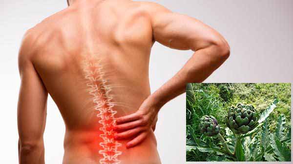 lower backache