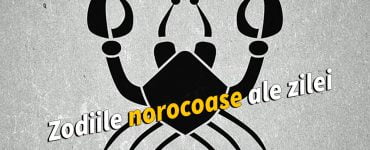 norocoase