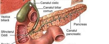 pancreas boala