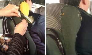 10 fotografii care îți vor reda încrederea că mai există oameni buni chiar și în zilele noastre 24 reparatie scaun