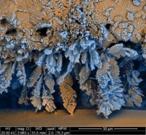 Unele din ele sunt adevărate ciudățenii! Fotografii fantastice ale obiectelor și creaturilor văzute sub microscop 23 rruina microscop