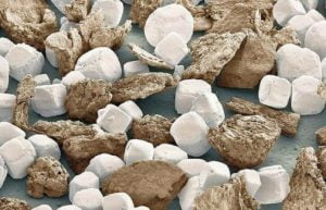 Unele din ele sunt adevărate ciudățenii! Fotografii fantastice ale obiectelor și creaturilor văzute sub microscop 26 sare piper