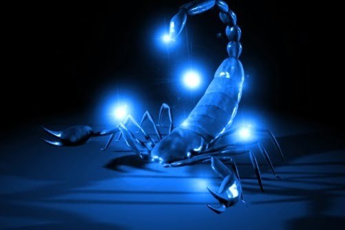 scorpion ea