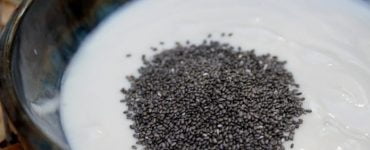 seminte de chia1711 696x464