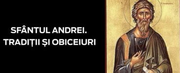 sf andrei