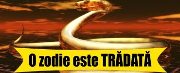 tradat