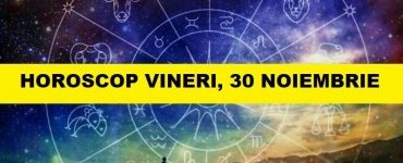 vins zodie