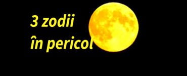 zodiii