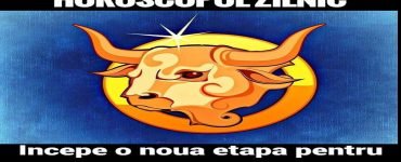 zulc