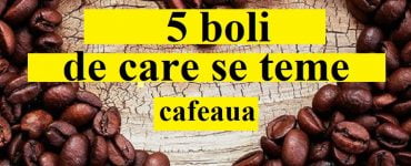 boli cafea
