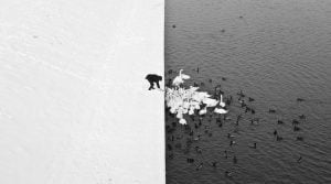 Poze în existența cărora îți este mai greu să crezi 29 cracovia contrast