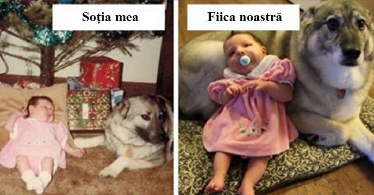 poze ani
