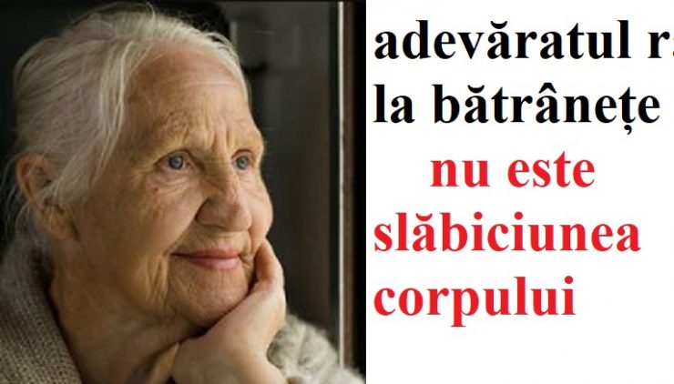rau batranete