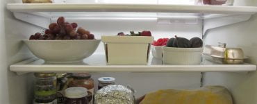 IMG 0672