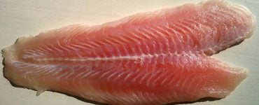 Pangasius peste 700x347
